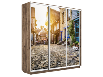 Шкаф-купе Экспресс Люкс 3-х дверный (Фото №1022 Улица)