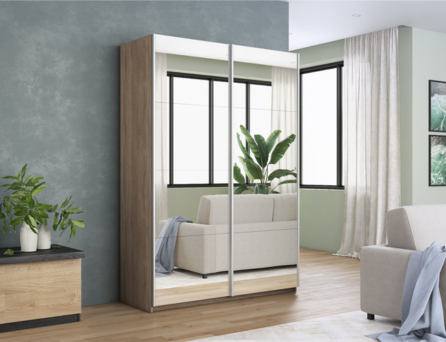 Шкаф-купе Прайм 2-х дверный (зеркало)